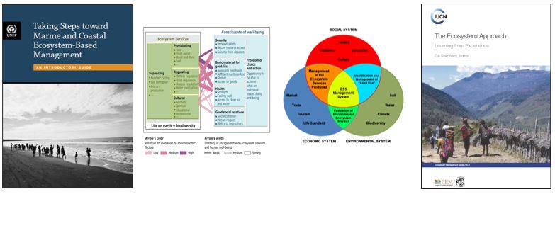 Many efforts have been deployed in this direction. However, notwithstanding an overabundance of relevant strategic documents and guidelines, the practical application of EBM (Ecosystem Based Management) in ICZM processes is still limited.